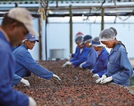 forced-labour-532-421