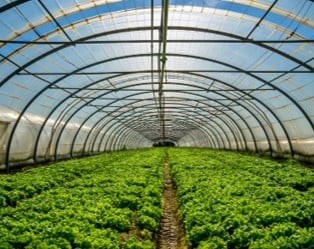 LRQA_FOOD_AdobeStock_49675397-1280x720